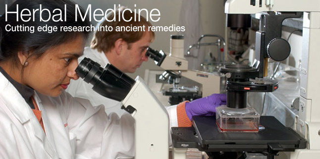 Herbal medicine research
